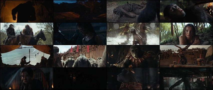 Kingdom of the Planet of the Apes | 2024 | Hindi-English | 480p 720p 1080p 2160p