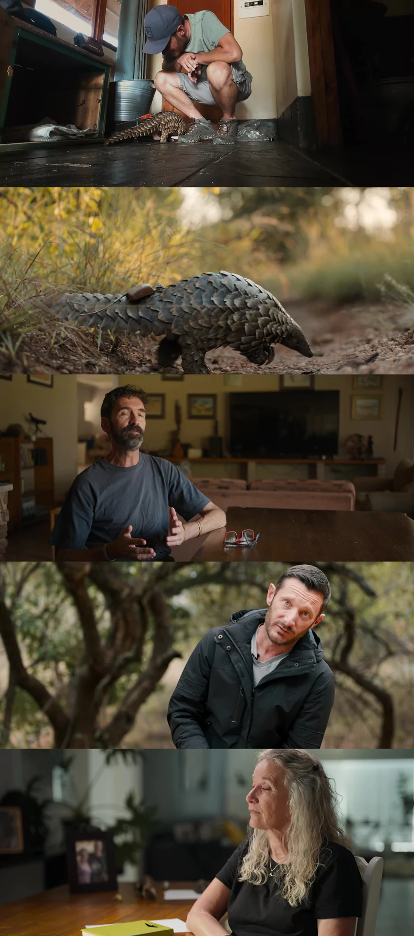 Download Pangolin: Kulu’s Journey | 2025 | Hindi-English | Dual Audio | WEB-DL | Full Movie 480p 720p 1080p