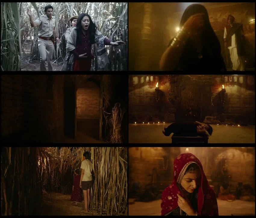 Download Chhorii 2 | 2025 | AMZN WEB-DL | Hindi DD5.1 | Full Movie 480p 720p 1080p