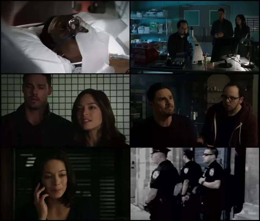 Download Beauty and the Beast | 2015 | Season 3 | Complete Hindi Dubbed | MXPlayer WEB Series | 480p 720p 1080p