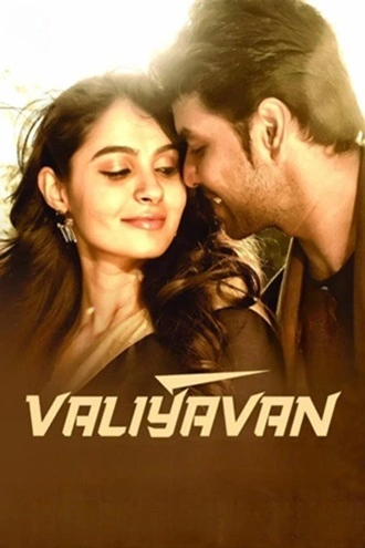 Download Valiyavan | 2015 | Hindi DD2.0 + Tamil DD2.0 | Dual Audio | WEB-DL | Full Movie 480p 720p 1080p
