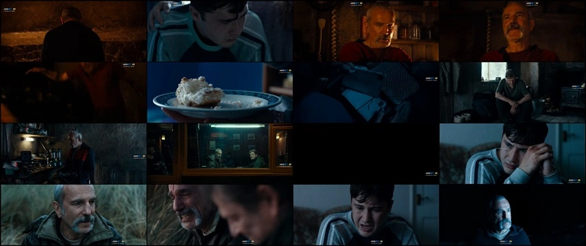 Download Anemone | 2025 | Hindi Dubbed | WEBRip | Full Movie 480p 720p 1080p