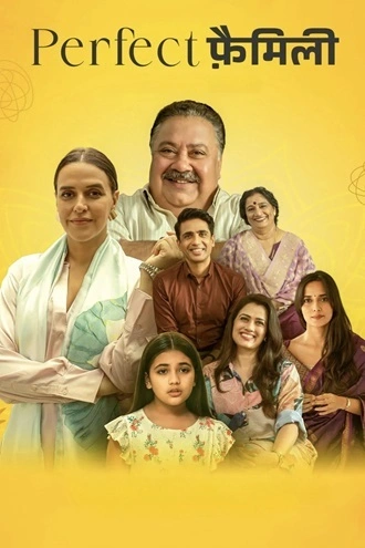 Download Perfect Family | 2025 | Season 1 | Hindi DD5.1 | WEB-DL | Complete WEB Series | 480p 720p 1080p